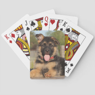 Cute German Shepherd Puppy Dog Playing Cards