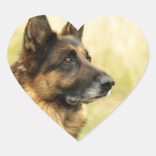 Cute German Shepherd Stickers