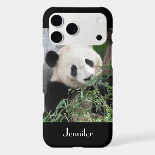 Cute Giant Panda Arrière - plan noir, Nom,