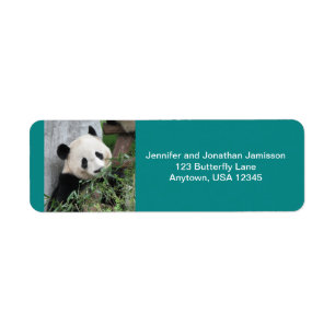 Cute Giant Panda Bear, Turquoise, Return Address 