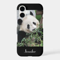 Cute Giant Panda, Black Background, Custom Name