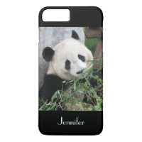 Cute Giant Panda, Black Background, Custom Name