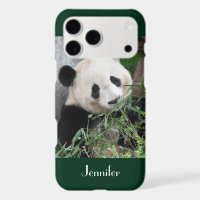 Cute Giant Panda Dark Green Background, Name, 