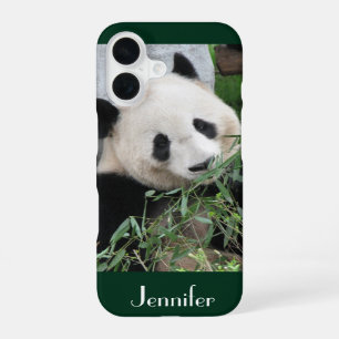 Cute Giant Panda Dark Green Background, Name, iPhone 16 Case