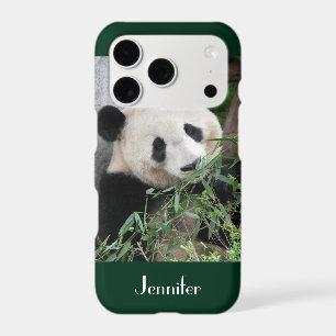 Cute Giant Panda, Dark Green Trim, Custom Name