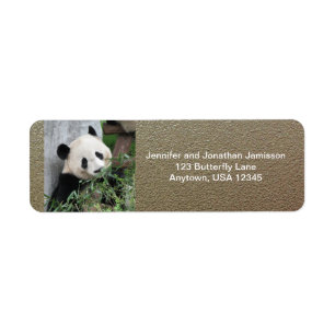 Cute Giant Panda, Faux Chrome Return Address