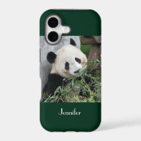 Cute Giant Panda Green Background, Name,