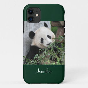 Cute Giant Panda Green Background, Name, iPhone 11 Case