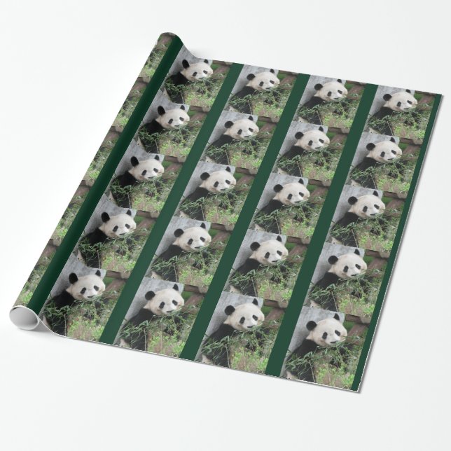 Cute Giant Panda Green Wrapping Paper (Unrolled)
