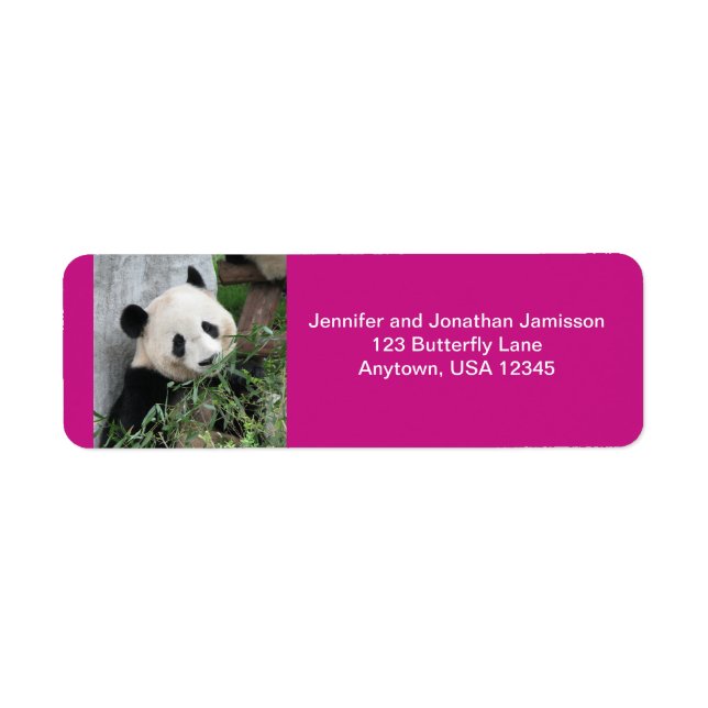 Cute Giant Panda, Hot Pink Return Address (Front)