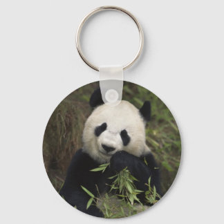 Cute Giant Panda Keychain