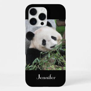 Cute Giant Panda, Name, Black iPhone 16 Pro Max Case