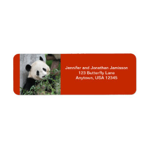 Cute Giant Panda, Orange Adresse de retour