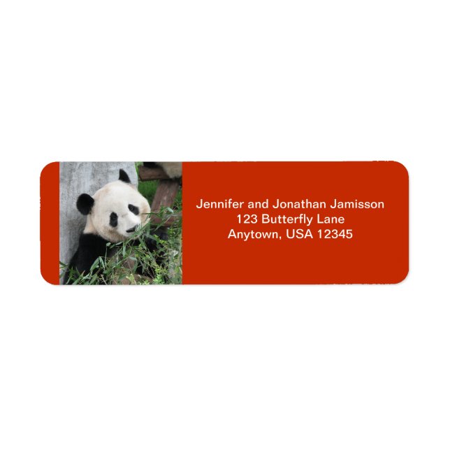Cute Giant Panda, Orange Return Address (Front)