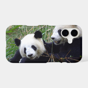 Cute Giant Panda Ours manger bambou / amour