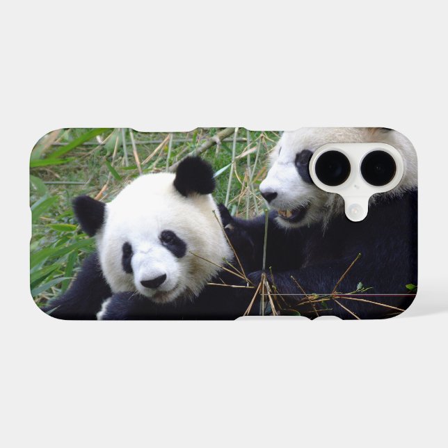 Cute Giant Panda Ours manger bambou / amour (Verso (Horizontal))