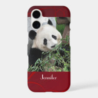 Cute Giant Panda with Name Red Swirly Background