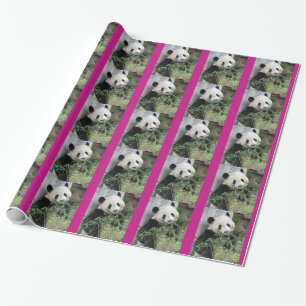 Cute Giant Panda Wrapping Paper, Hot Pink Trim Paper