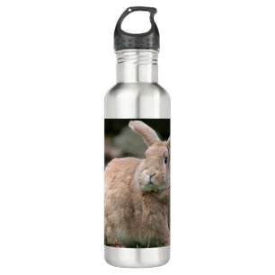 Cute ginger bunny with big ears  710 ml water bottle