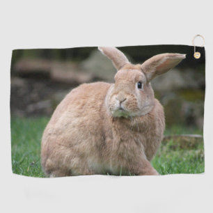 Cute ginger bunny with big ears    golf towel