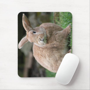 Cute ginger bunny with big ears mouse pad