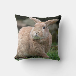 Cute ginger bunny with big ears throw pillow