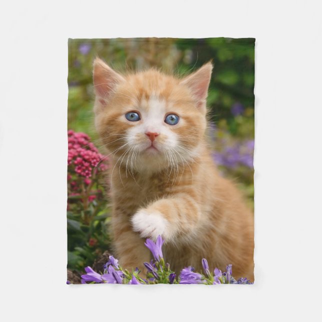 Cute Ginger Cat Kitten in a Garden Photo - soft Fleece Blanket (Front)
