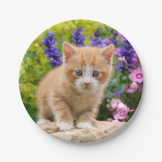 Cute Ginger Cat Kitten in Flowers - Funny Party Paper Plate (Front)