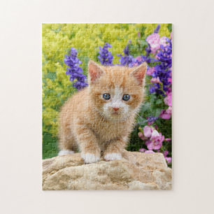 Cute Ginger Cat Kitten in Flowery Garden _ Jigsaw Puzzle