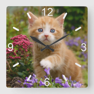 Cute Ginger Cat Kitten in Garden Photo dial-plate Square Wall Clock