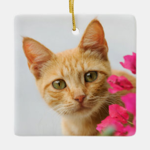 Cute Ginger Cat Kitten is Watching Photo - Ceramic Ornament