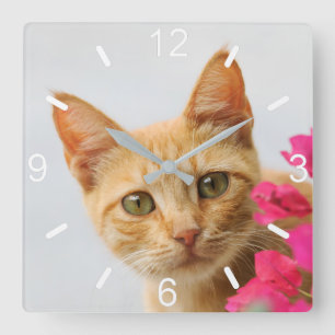Cute Ginger Cat Kitten Watching Photo - dial-plate Square Wall Clock