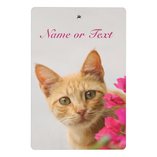 Cute Ginger Cat Kitten Watching Photo Personalized Mini Clipboard (Back)
