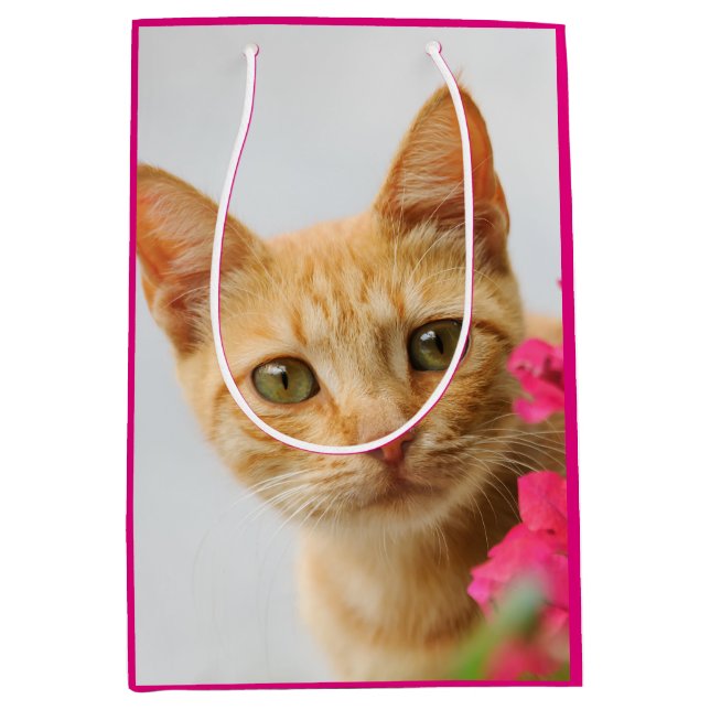 Cute Ginger Cat Kitten Watching You Portrait Photo Medium Gift Bag (Front)