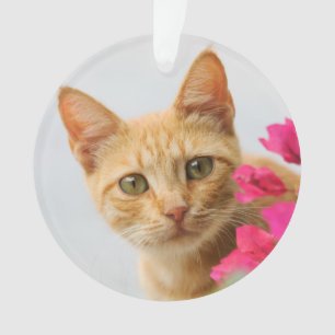 Cute Ginger Cat Kitten Watching You  round acrylic Ornament