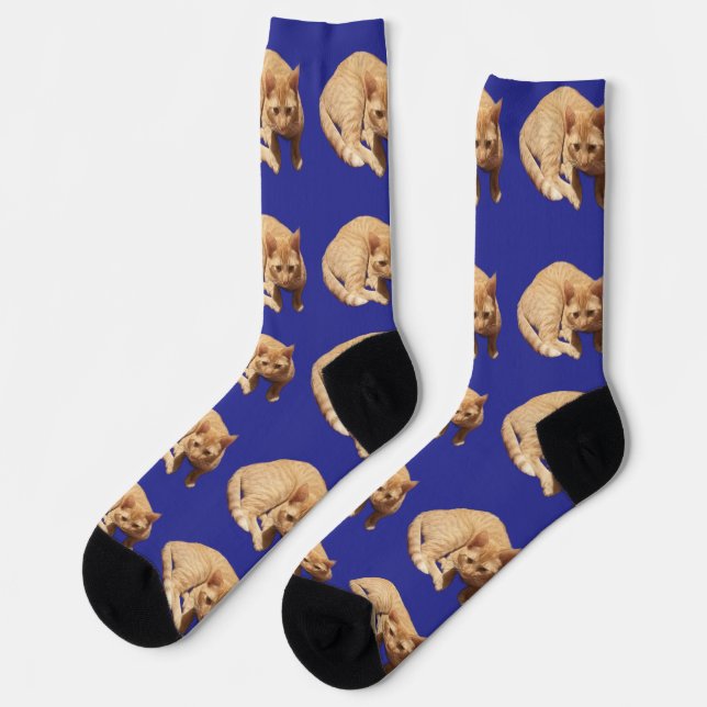 Cute Ginger Cat Photo Pattern Blue Socks (Left)