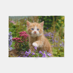 Cute ginger kitten in a garden fleece blanket
