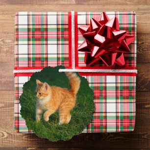 Cute Ginger Kitten Photo Ornament Card