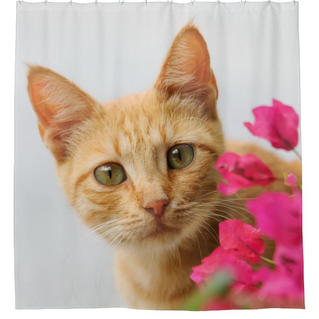 Cute Ginger Kitten Portrait, Tub (Front)