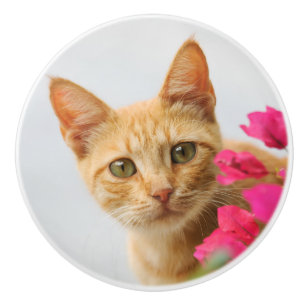 Cute Ginger Kitten Watching You, Decorative Ceramic Knob