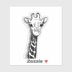 Cute Giraffe