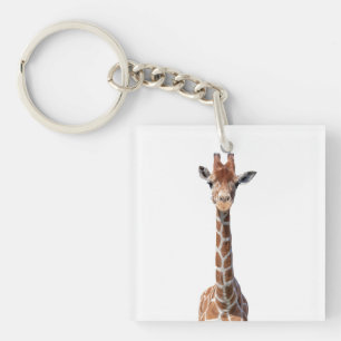 Cute giraffe face