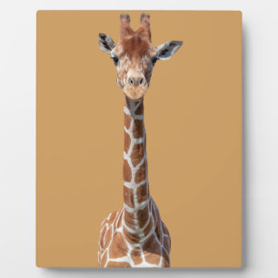 Cute giraffe face plaque