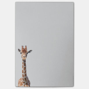 Cute giraffe face post-it notes