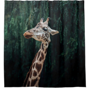 CUTE GIRAFFE PORTRAIT