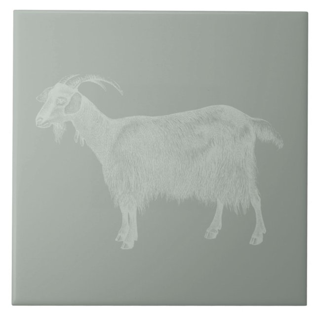 Cute Goat Illustrated Art CUSTOM COLOR Tile (Front)