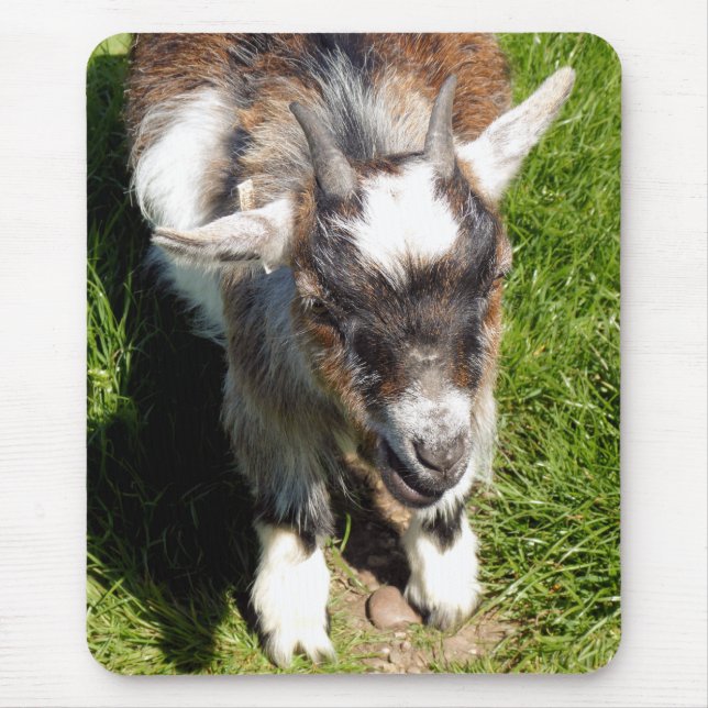 CUTE GOAT MOUSE PAD (Front)