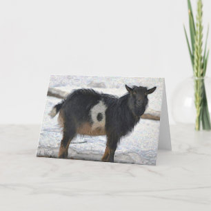 Cute Goat Note Card