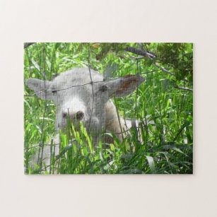 Cute Goat Peeking out of Fence Jigsaw Puzzle