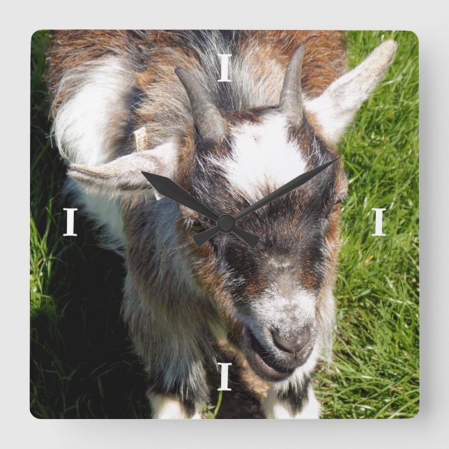 CUTE GOAT SQUARE WALL CLOCK (Front)